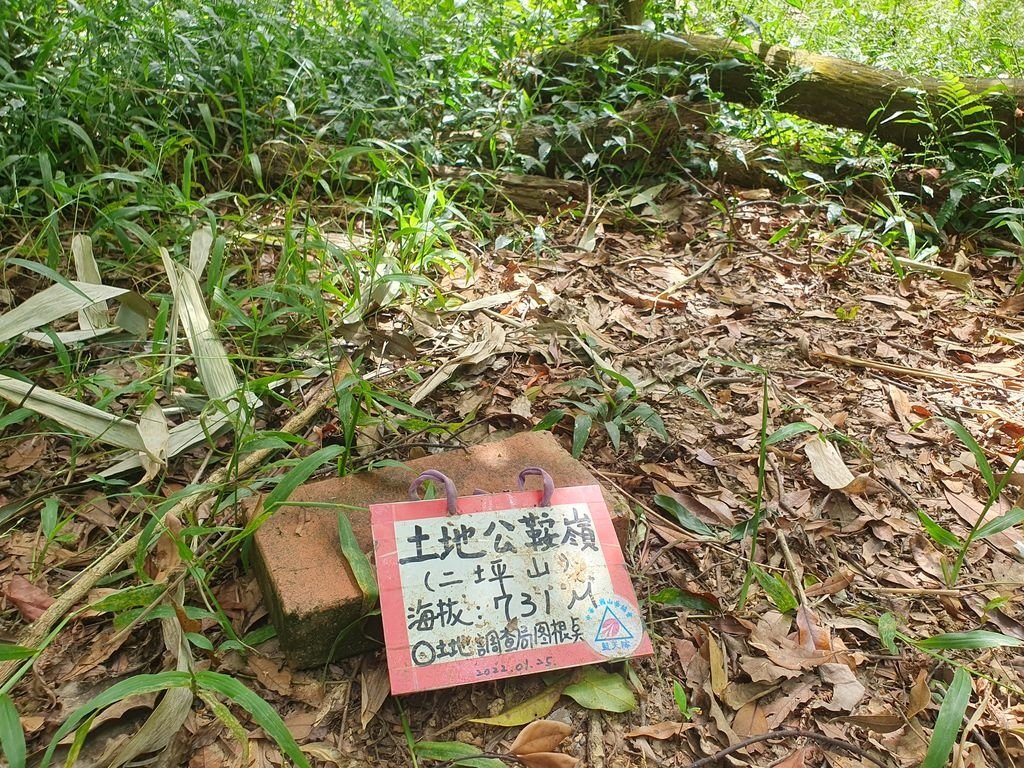 20241015_113112_結果.jpg