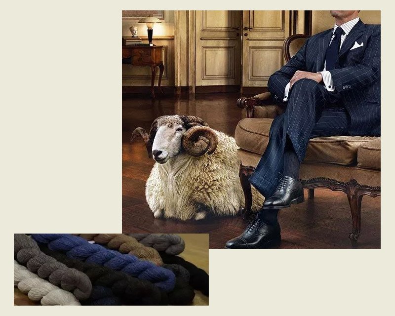 Cashmere Wool 