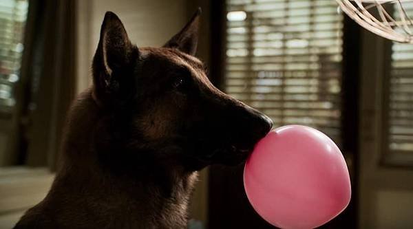angie-tribeca-12.jpg
