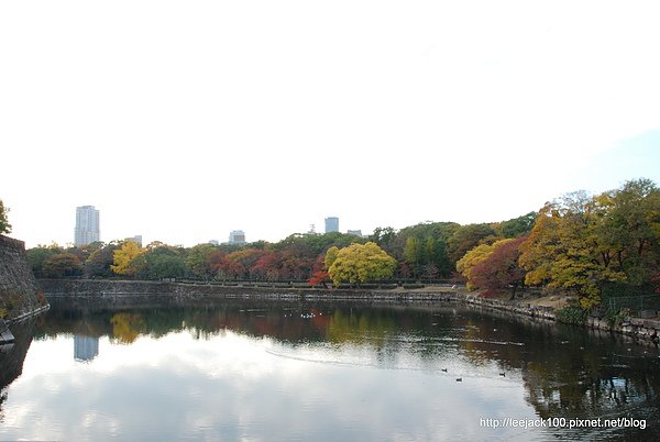 DSC_0787.JPG