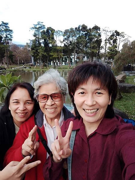 始終追不到的落羽松