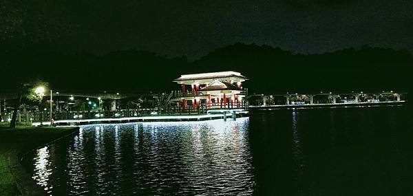 始終追不到的落羽松