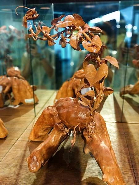 陶冶性情的木雕博物館