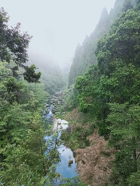 適合避暑之杉林溪