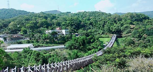 白石湖吊橋踏青