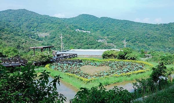白石湖吊橋踏青
