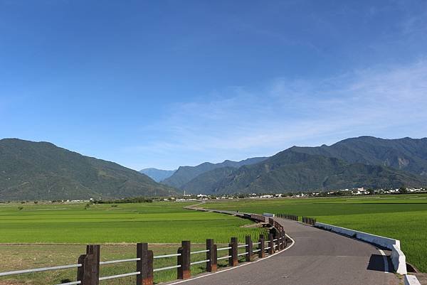 池上迷人的田園風光