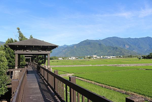 池上迷人的田園風光