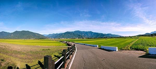 池上迷人的田園風光