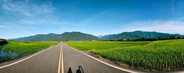 池上迷人的田園風光