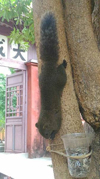 台南美食之旅