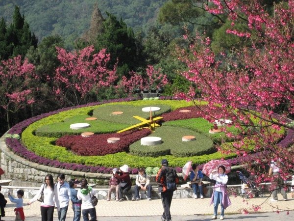 陽明山花鐘 3