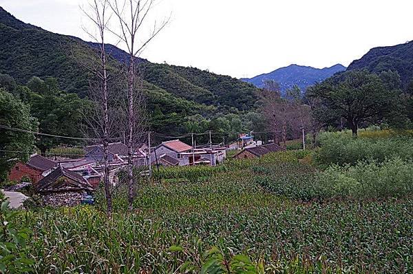 IMGP0020