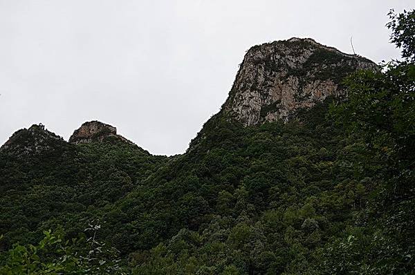 IMGP 0007