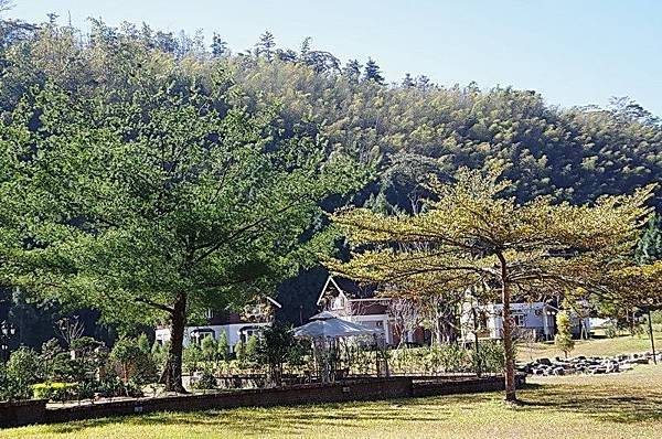 IMGP0005.JPG