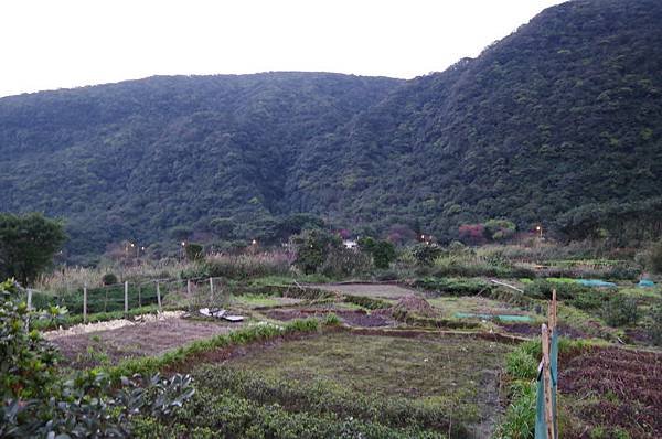 IMGP0006.JPG