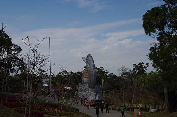 IMGP0040.JPG