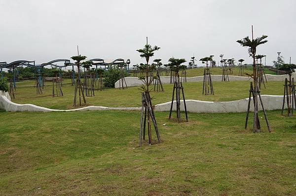 IMGP0056.JPG