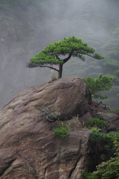 12三清山西海岸景區108.JPG