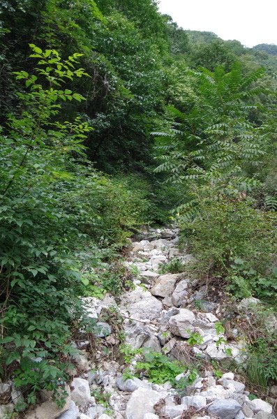 IMGP0021.JPG