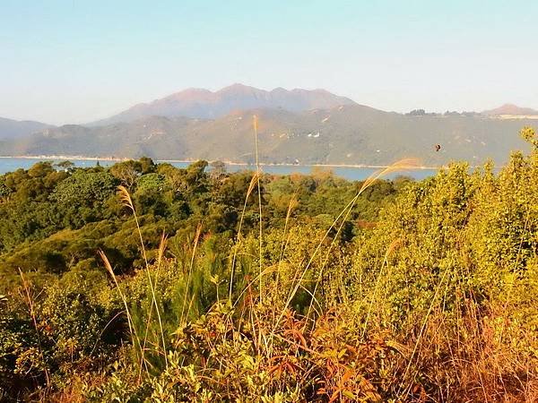 20170217 香港外島坪洲島