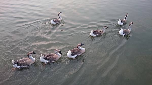 DSC_0067.JPG