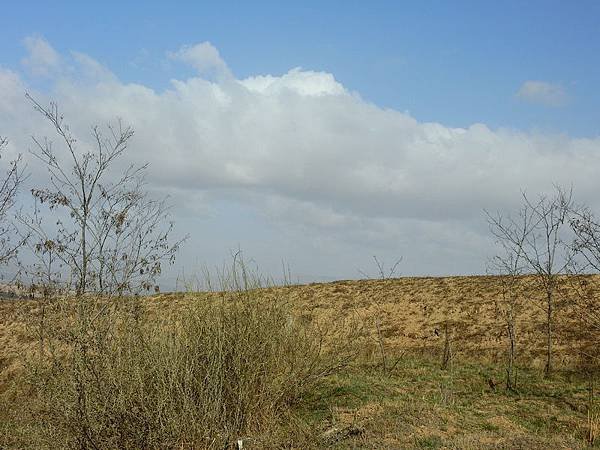 DSCN0056.JPG