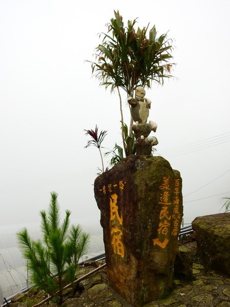 DSCN0130.JPG