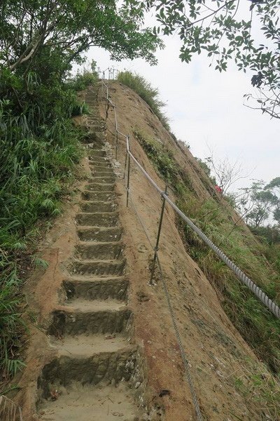 DSCN0105.jpg