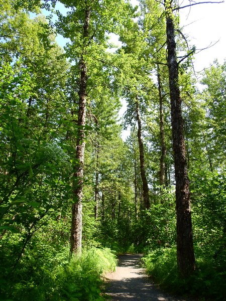DSCN0065.JPG
