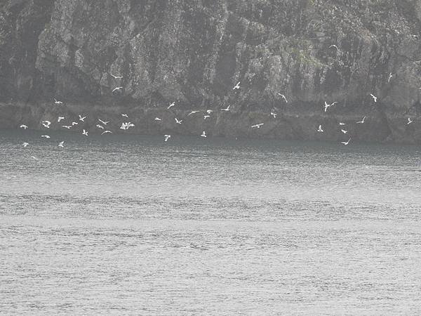 DSCN0032.JPG