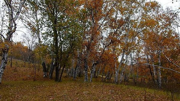 DSCN0015.JPG