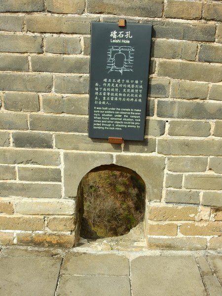 DSCN0122.JPG