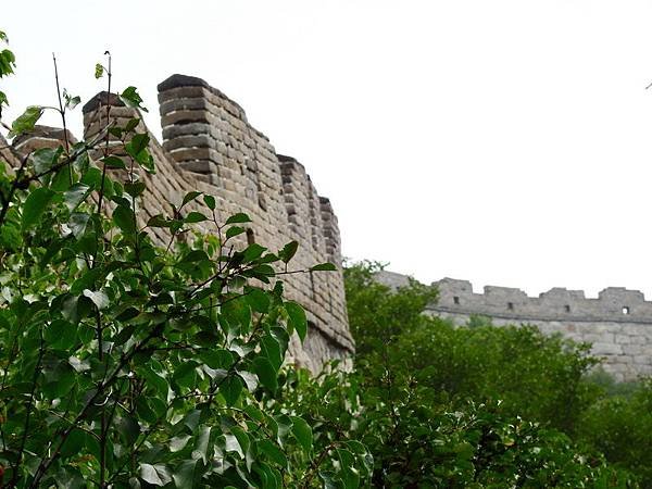 DSCN0050.JPG