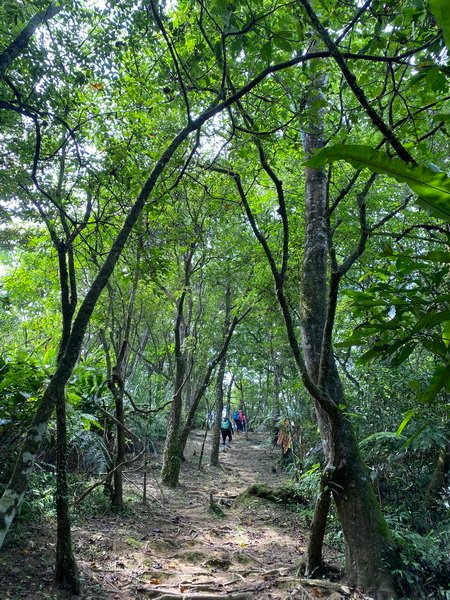 DSCN1040.JPG