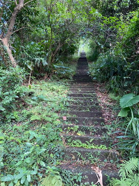 DSCN0126.JPG