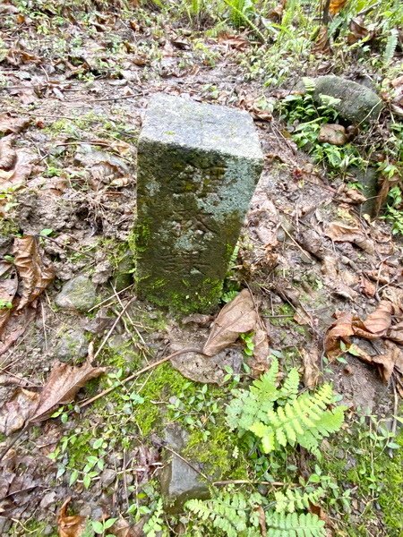 DSCN0118.JPG