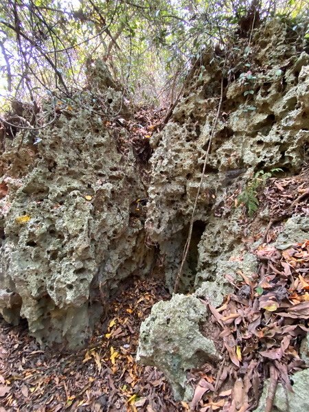DSCN0055.JPG