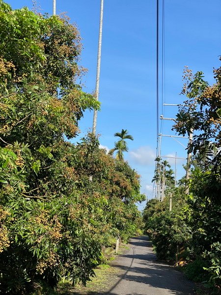 DSCN0038.JPG