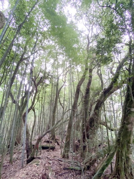 DSCN0043.JPG