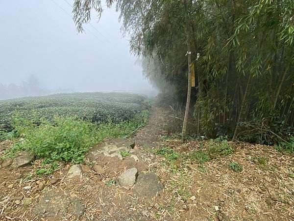 20211223 嘉義天際線12峰，樟腦寮太平山Ｏ繞