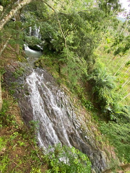 DSCN0087.JPG