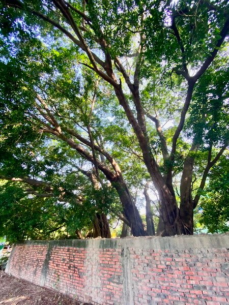 DSCN0002.JPG