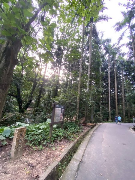 DSCN0009.JPG