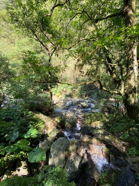 DSCN0061.JPG