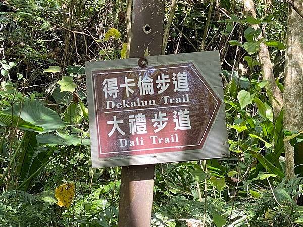 DSCN0006.JPG