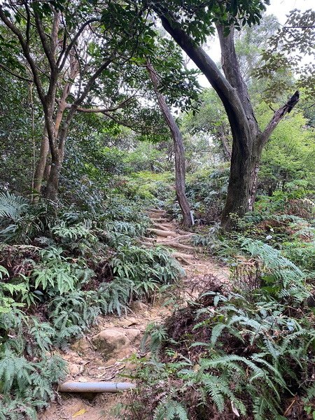 DSCN0091.JPG