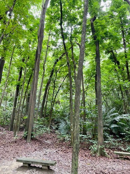 20230622 蘭潭後山步道大環繞