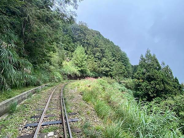 20230926 大塔百登23刷：阿里山四岳
