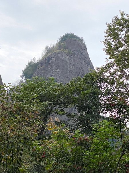 20231025 小三通八閩山海遊08：武夷山，天遊峰（AA